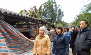 Ba Chẽ tiếp tục hướng dẫn người dân chống rét, kiểm đếm chính xác thiệt hại để hỗ trợ kịp thời