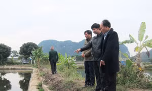 Tích cực phòng chống rét cho vật nuôi thủy sản