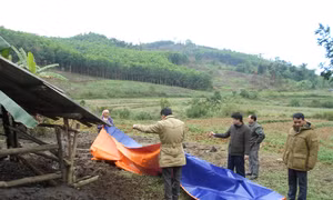 Các địa phương chống rét