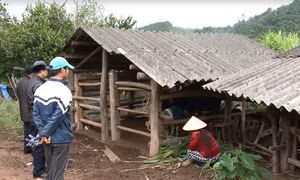 Huyện Tiên Yên tăng cường công tác phòng, chống rét