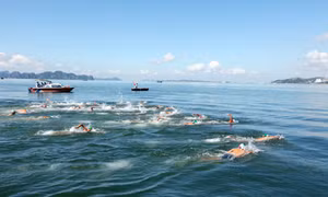 Núi Béo nỗ lực vượt khó