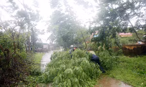 Tiên Yên gió lớn, nguy cơ ngập lụt cao