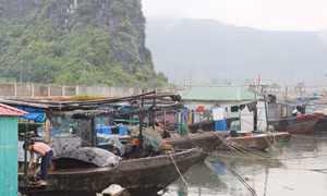 Cẩm Phả chưa có thiệt hại lớn