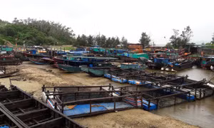Cô Tô biển động dữ dội, sóng cao từ 1,5-3m