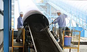 TKV: Nỗ lực vì mục tiêu phát triển xanh