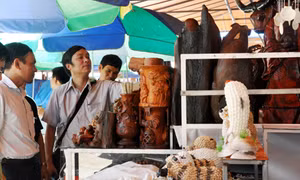 Phát hiện, xử lý nhiều vi phạm về kinh doanh dịch vụ du lịch
