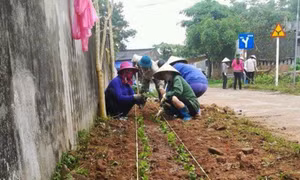 Xây dựng nông thôn mới kiểu mẫu: Những đổi thay rõ nét