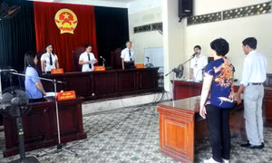 Hoạt động của Toà án Nhân dân năm 2015: Nâng cao chất lượng giải quyết, xét xử các vụ án