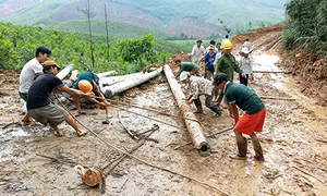 Thành công từ sự chỉ đạo, điều hành