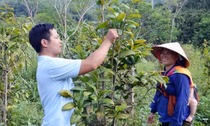 Bí thư Chi bộ thôn được dân tin yêu