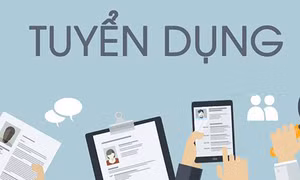 Trung tâm Dịch vụ việc làm Quảng Ninh mở phiên giao dịch việc làm định kỳ và online tháng 11