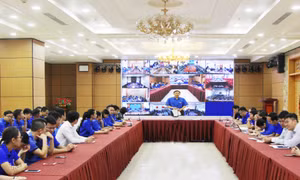 Hội nghị trực tuyến quán triệt việc mở rộng địa giới hành chính, không gian phát triển của TP Hạ Long và huyện Hoành Bồ