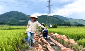 Tăng tốc hoàn thành các mục tiêu KT-XH năm 2019: Hoành Bồ quyết tâm về đích