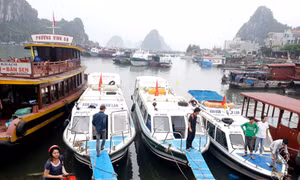 BTV huyện uỷ Vân Đồn: Nghiêm túc tự phê bình và nhận khuyết điểm