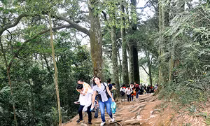 Kỳ thú rừng quốc gia Yên Tử