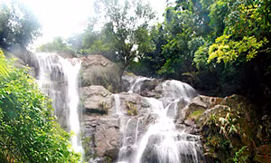 Du lịch sinh thái Lựng Xanh: Cơ hội cho các nhà đầu tư