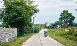 Đầm Hà: Sức sống nông thôn mới