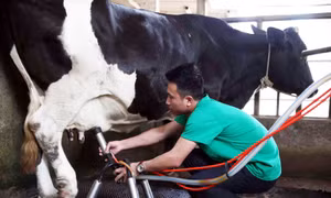 Từ nông thôn mới...