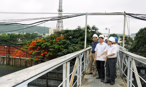 Chủ động giải quyết các kiến nghị của cử tri
