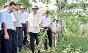 Hoành Bồ hướng tới mục tiêu phát triển bền vững