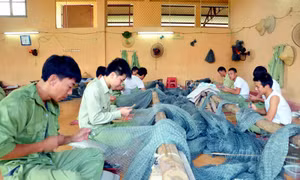 Xây dựng chính sách hỗ trợ người cai nghiện ma tuý tự nguyện
