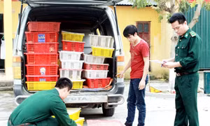 Tăng cường phối hợp chống buôn lậu khu vực biên giới, cửa khẩu