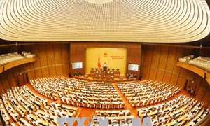 Sáng nay 13/11, Quốc hội thảo luận về phòng ngừa tội phạm, phòng chống tham nhũng