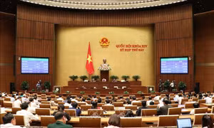 Kỳ họp thứ 6, Quốc hội khóa XIV: Thông qua Luật Bảo vệ bí mật nhà nước