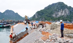 Quyết tâm thực hiện thắng lợi nghị quyết