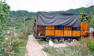 Độc đáo Cô Tô Garden