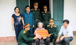 Nhiều hoạt động sôi nổi, thiết thực