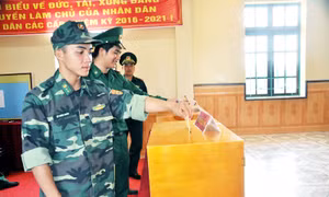 Phiếu bầu cử được quy định như thế nào?