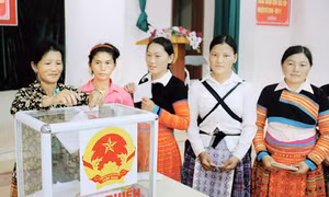 Nguyên tắc xác định người trúng cử được quy định như thế nào?