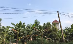Đã giải quyết dứt điểm kiến nghị về thu hồi "bìa đỏ" ở thôn Tràng Bảng 1