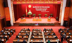 HĐND tỉnh tiếp tục thảo luận, chất vấn và trả lời chất vấn tại hội trường