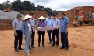 Phó Chủ tịch Thường trực HĐND tỉnh Trịnh Thị Minh Thanh khảo sát một số dự án tại Ba Chẽ