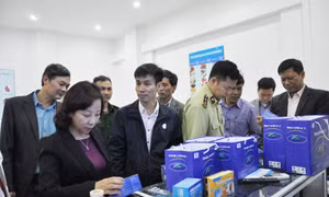 Phó Chủ tịch UBND tỉnh Vũ Thị Thu Thủy kiểm tra hoạt động liên quan đến đón khách du lịch qua Cửa khẩu quốc tế Móng Cái