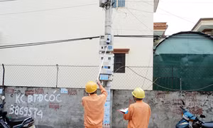 Ghi hoá đơn tiền điện sai phải bồi thường