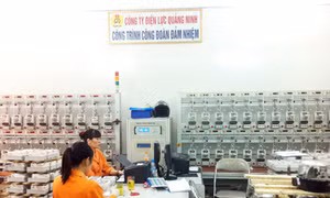 Quy định về xử phạt vi phạm hành chính trong lĩnh vực điện lực