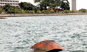 Phao rùa han rỉ