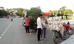 "Rừng, biển"… hội ngộ (!)