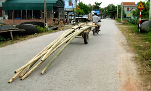 "Nghênh ngang nào biết trên…đường có ai" (!)
