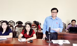 Thảo luận tại kỳ họp thứ 15, HĐND tỉnh khoá XII: Sôi nổi và trách nhiệm