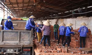 Tiên Yên: Nhiều giải pháp trọng tâm, trọng điểm