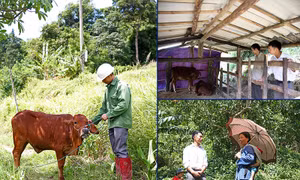 Động lực của Bí thư "dân tin, Đảng cử" trẻ tuổi ở Quảng Ninh