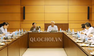 Phó Chủ tịch Quốc hội Uông Chu Lưu chỉ đạo chuẩn bị kế hoạch triển khai Luật Đơn vị HC-KT đặc biệt