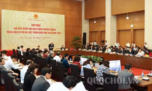 Quy định về thẩm quyền của TAND tại Đặc khu cần đảm bảo đồng bộ với các luật tố tụng hiện hành