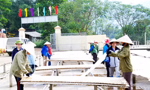Khơi nguồn vốn hỗ trợ SXKD sản phẩm nông nghiệp