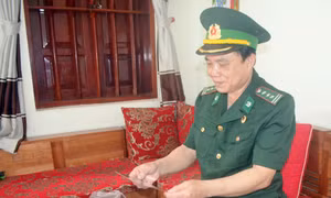 Chuyện kể về mùa Xuân toàn thắng