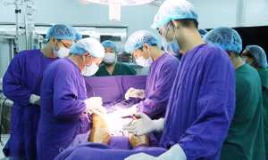Họ đã làm cho Tổ quốc thêm đẹp, giàu
